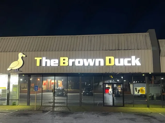 The Brown Duck