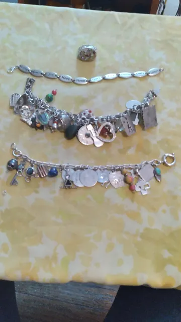 The Silver Lady, LLC