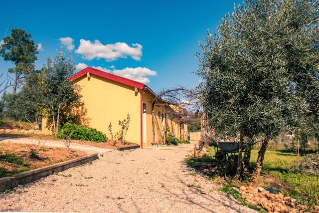 quinta-lina de serpins