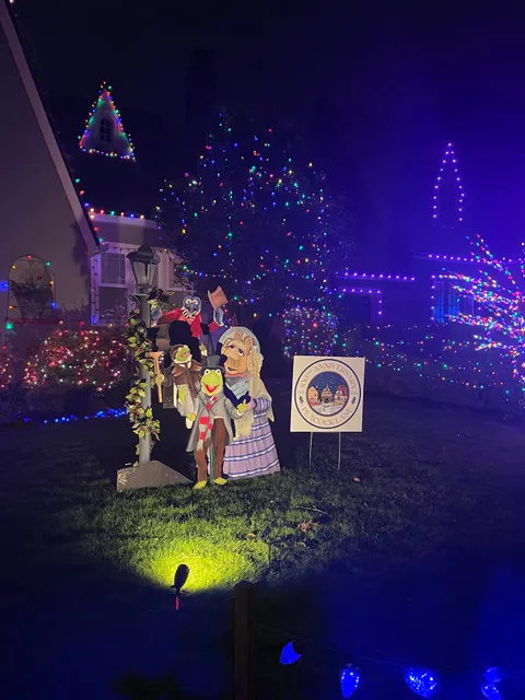 Peacock Lane (Christmas Lights)