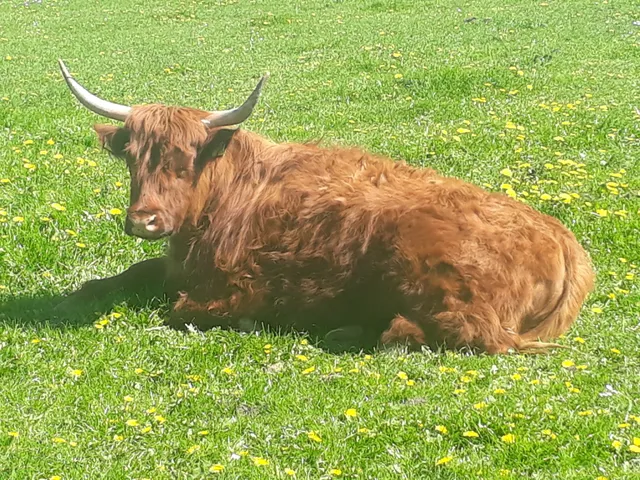 Gästehaus Münchhausen, wangerlandtours GbR