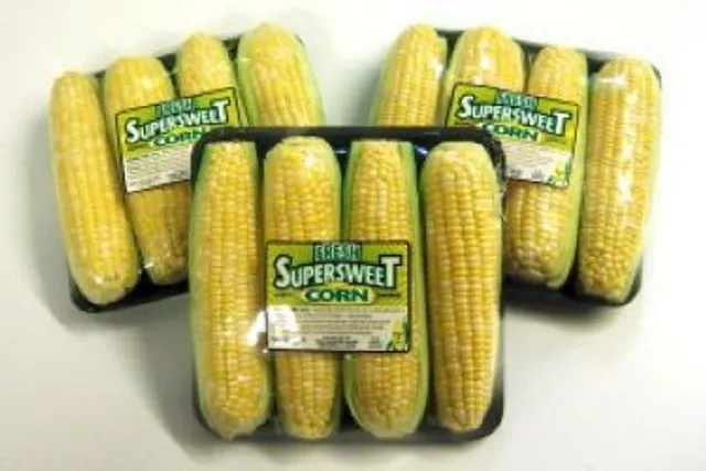 Twin Garden Sales Inc