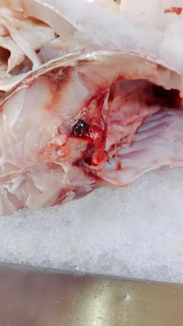 Manzanillo Restaurant