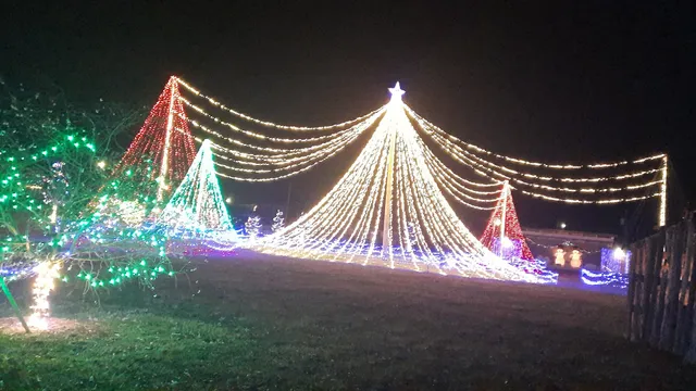 Courtland Festival Park