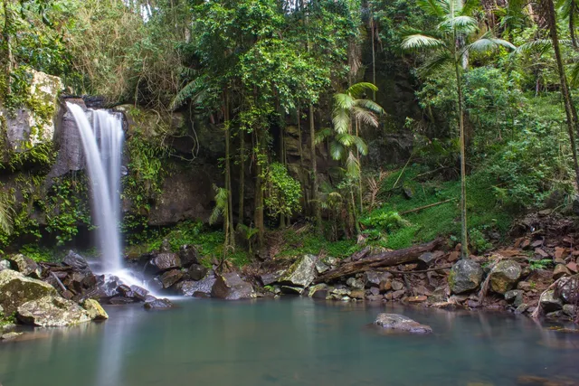 Tamborine Mountain