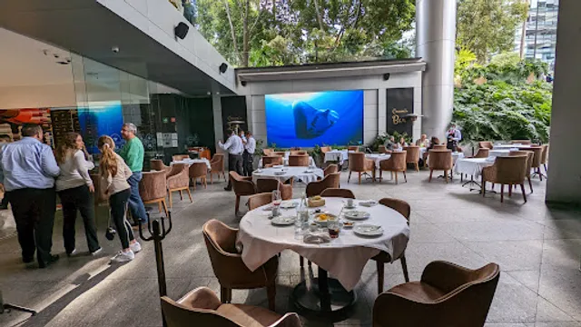 Auguri Kosher Trattoria KMD