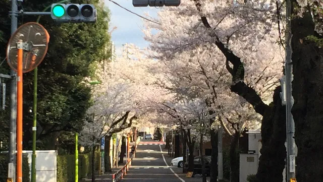 photo-2