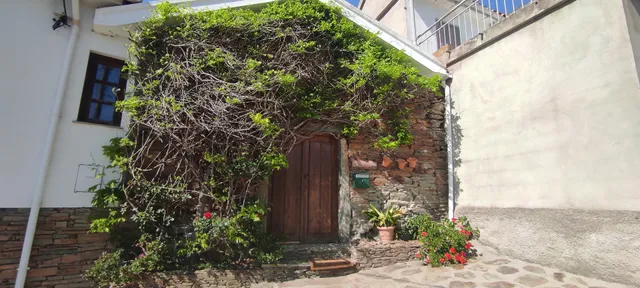 Casa Oliveiras do Douro