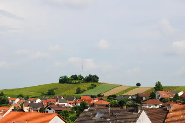 Ferienwohnung Kirchbergblick