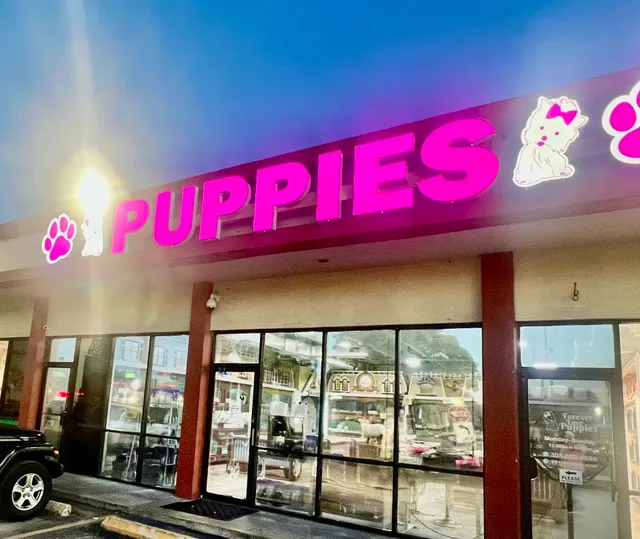 Forever Love Puppies North Miami