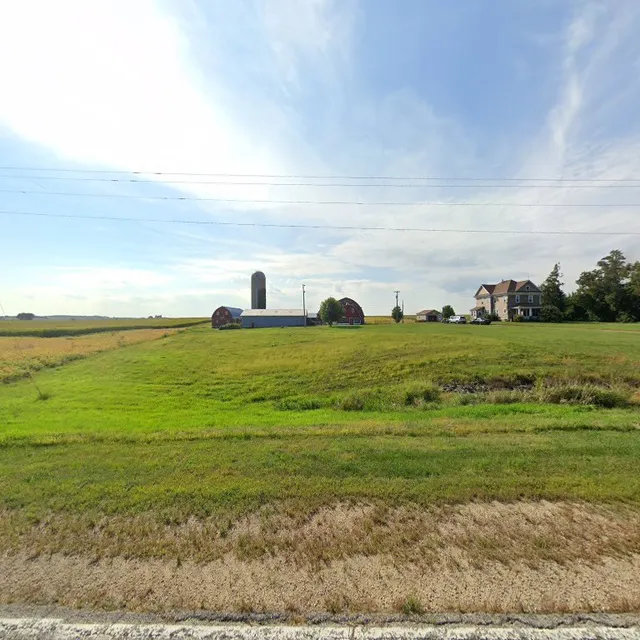 Pretty Much Distressed