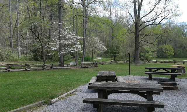 North Mills River Recreation Area