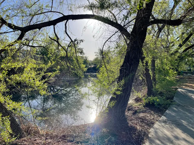 Chino wetlands preserve