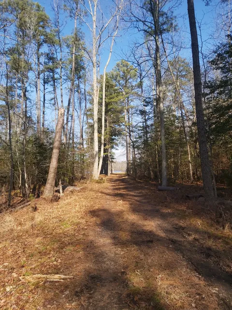 Sandy Point State Forest