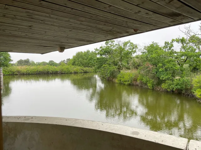 Maison de la Nature du Bassin d'Arcachon