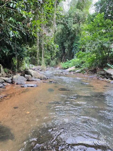 Bar Rest Vista Al Río