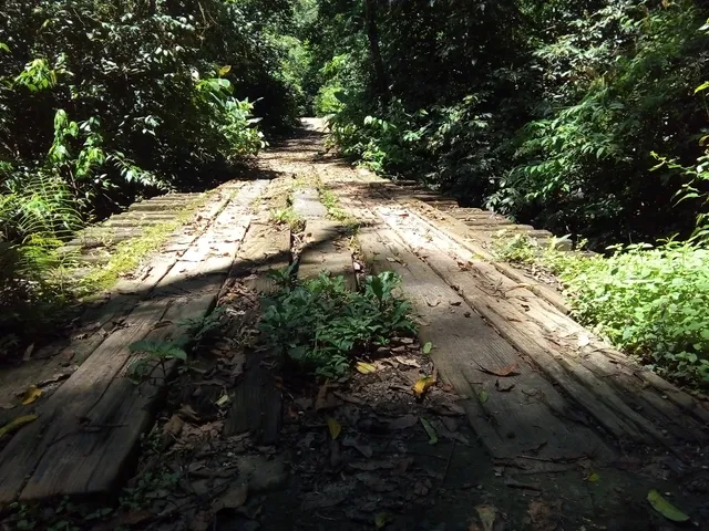 Soberania National Park