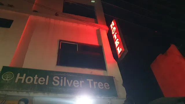 Hotel Silver Tree