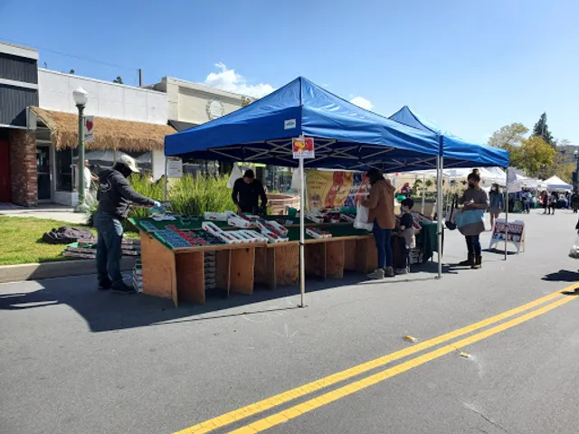 Montrose Farmers Market