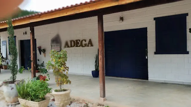 WINE BIKE ADEGA EMPÓRIO & BISTRÔ 🍷🍝