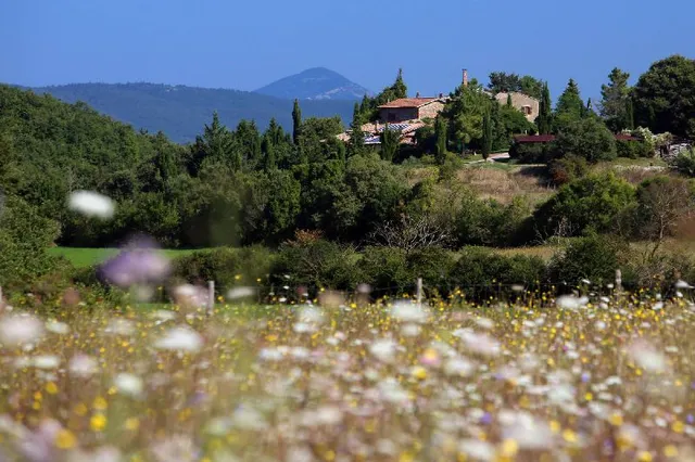 Agriturismo Pomantello