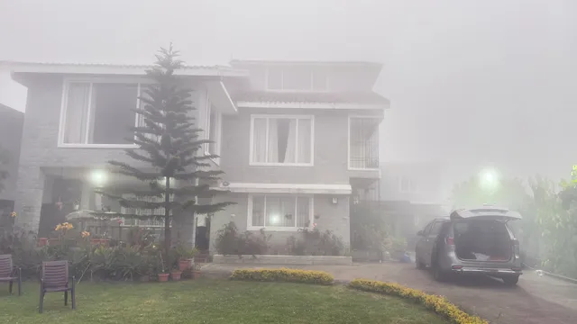 Misty vibes