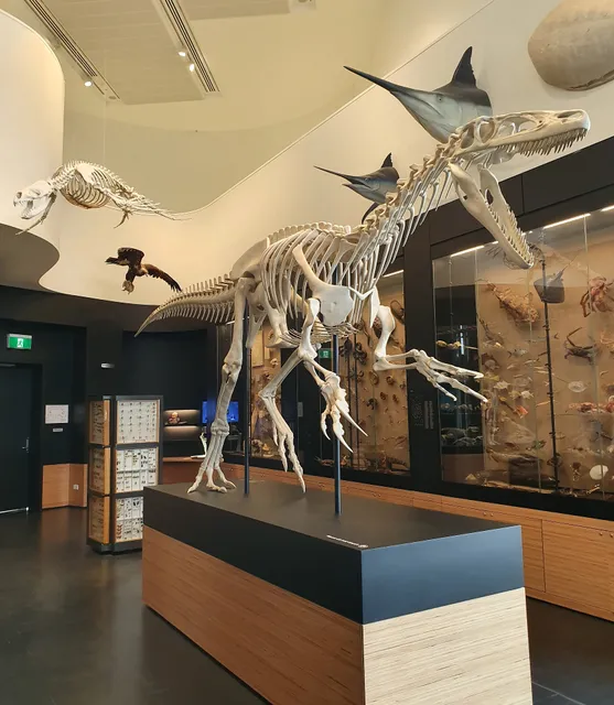 Natural History Museum