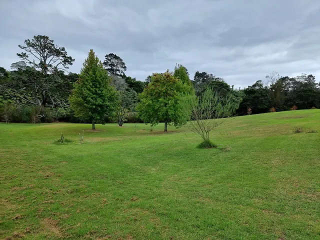 Tai-kato Riverpark Reserve