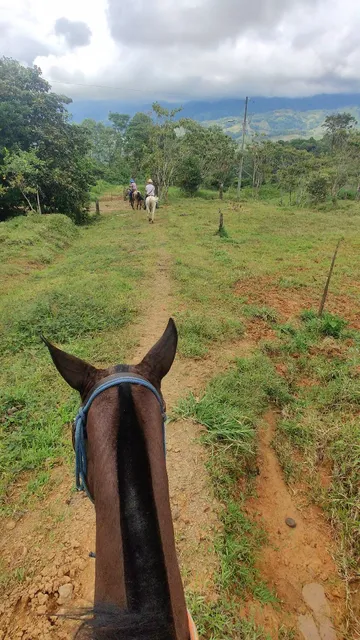 Horseback riding with Hernán/ Corral Hernán