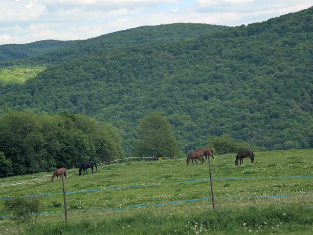 Ranč Divoký Zapadákov