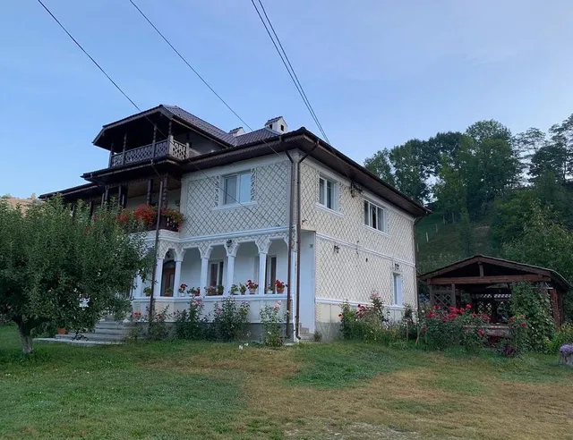 Pensiunea Paleu Bicazu Ardelean