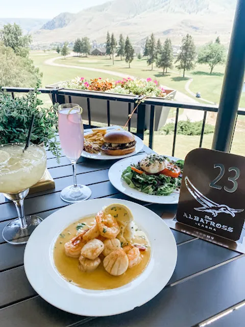 The Albatross by Karma