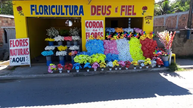 CEMITÉRIO DE CARLOS SAMPAIO