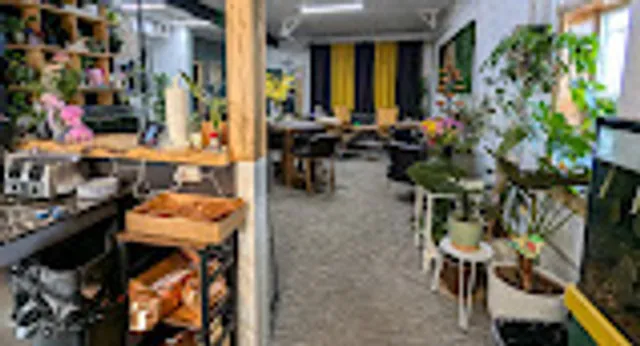 Knots and Grounds Espresso