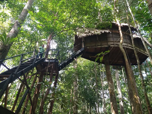 Reserva Natural Tanimboca