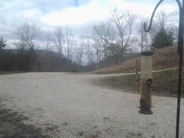 Carter County Flea Market