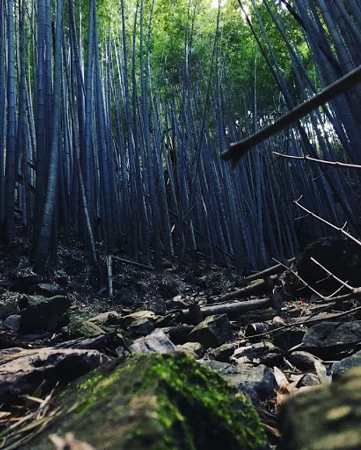 熊野古道 藤白坂