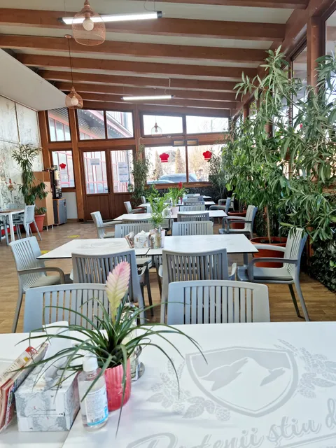 Autoservirea Andreea