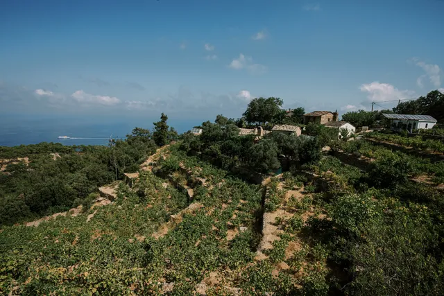 Karimalis Winery & Farmhouse Restaurant - ikarian wine