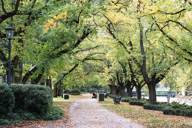 Rosalind Park