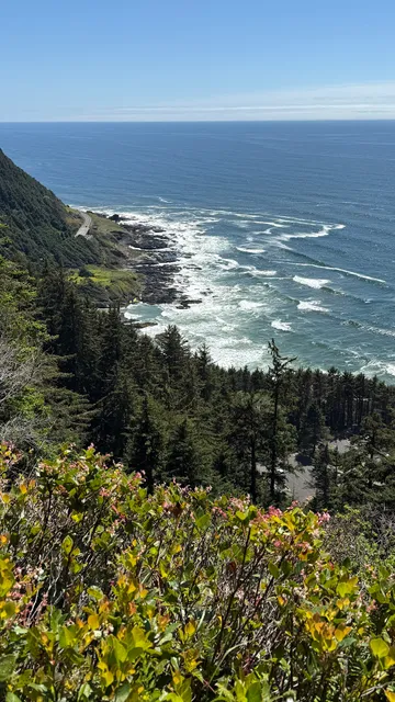 Cape Perpetua Visitor Center - Siuslaw National Forest