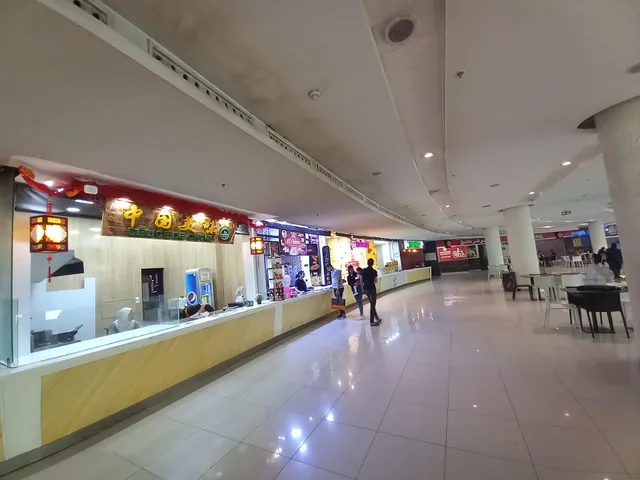 DELICE DE CHINE（中国美味）