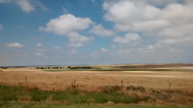 High Plains Feed Yard