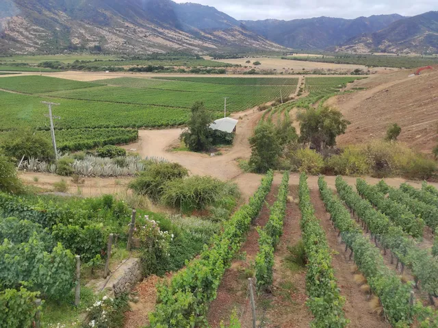 Teleférico Viña Santa Cruz