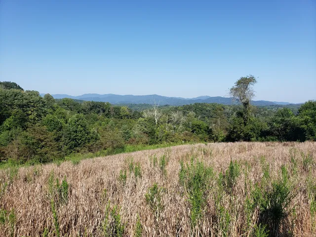 Sandy Mush Game Land