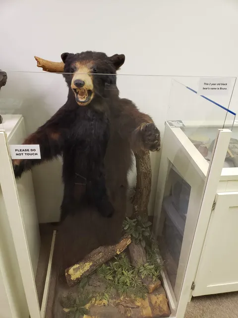 Indian Museum of Lake County