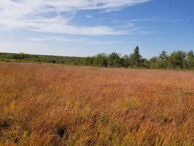 Prairie Winds Self-guiding Trail