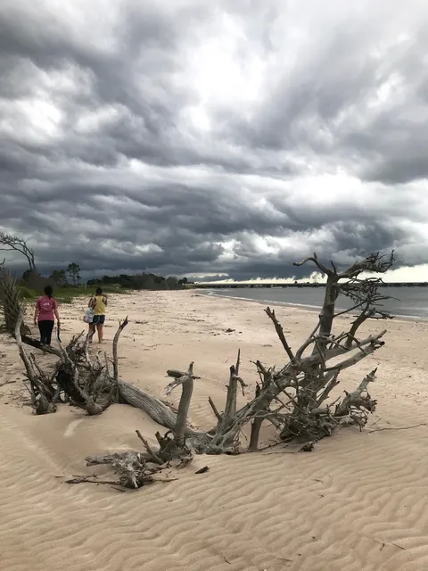 Little Talbot Island