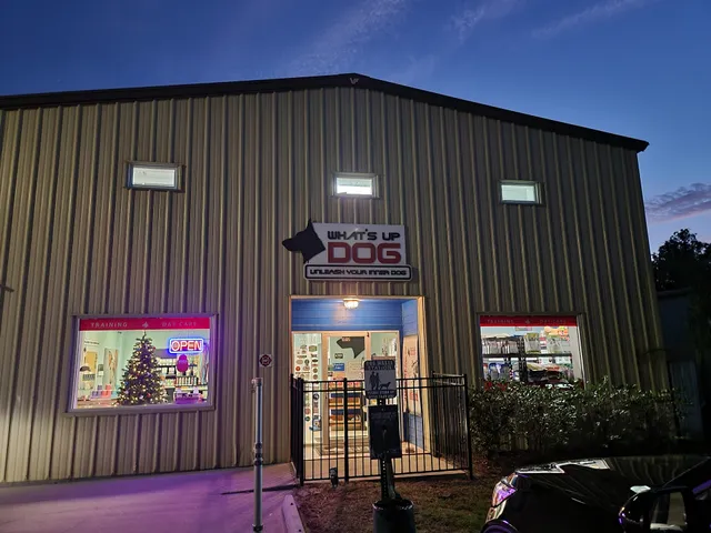 What's Up Dog? - Santa Rosa Beach