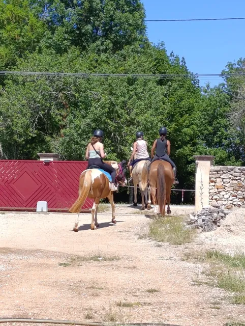 Le Mas de Flam et ses Amis